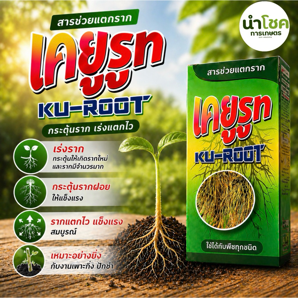 [เร่งรากสูตรเข้มข้น] เคยูรูท (KU-ROOT) ตราไก่แดง น้ำยาตอนกิ่ง ปักชำ รากแตกไว แข็งแรง ขนาด100-500 cc