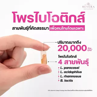 รีเวอร์เซ่ By รีเวร่า โพรไบโอติก พลัส เอลเดอร์เบอร์รี่ ผลิตและคิดสูตรโดยแพทย์นักวิจัยเยอรมนี 2 กล่อง