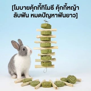 ของเล่นสัตว์ฟันแทะ ลับฟัน ธรรมชาติ ปลอดภัย ช่วยลดความเครียด ลดพฤติกรรมแทะกรง วัสดุจากผักผลไม้ ไม้แอปเปิ้ล หญ้าอัลฟาฟ่า