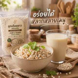 ลูกเดือยขาว ชนิดเมล็ด 500g/1kg Job's Tears Whole Grain | คัดพิเศษ เต็มเมล็ด 100% | ไฟเบอร์สูง โปรตีนสูง ไขมันต่ำ