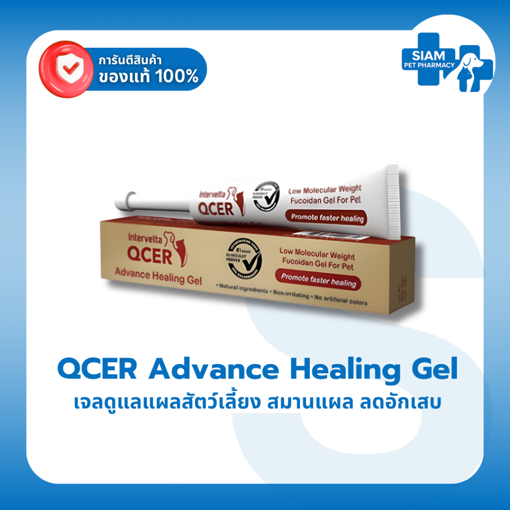 QCER Gel เจลดูแลแผลสัตว์เลี้ยง ช่วยสมานแผล ลดอักเสบ ฟื้นฟูผิวหนังสุนัขแมว 15g