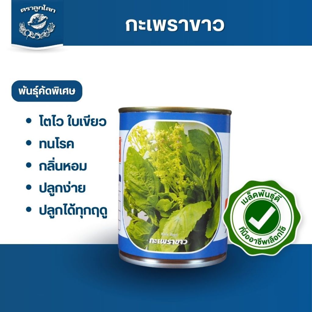 ตราลูกโลก เมล็ดกะเพราขาว Basil เมล็ดพันธุ์ผัก ผักสวนครัว ผักซอง ลูกโลก ขนาด 25 กรัม