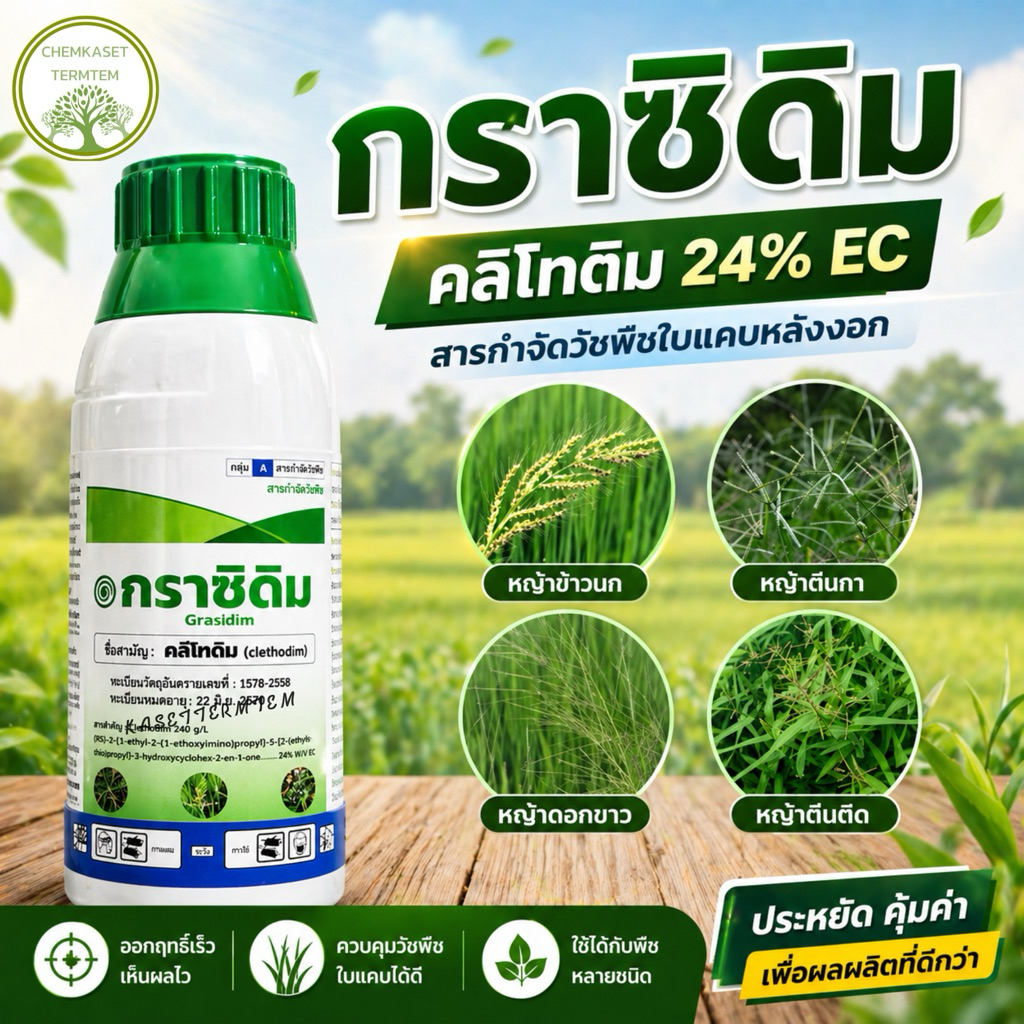 กราซิดิม คลีโทดิม 1ลิตร สารกำจัดวัชพืชในแคบ ในพืชประธานใบกว้าง ใช้น้อยคุณภาพดี หญ้าปากควายไม่เหลือ