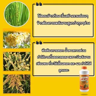 อีซี่ พาส (Easy Pass) สารเพิ่มประสิทธิภาพพืชสูตรเข้มข้น