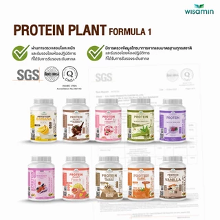 WISAMIN Plant Protein แพลนท์โปรตีน สูตร 1 | 900g (2LB) 10 รสชาติ | โปรตีนพืช ออแกร์นิก | ฮาลาล | ปลอดกลูเตน | Non-GMO