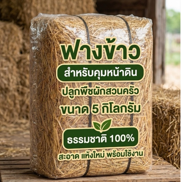 ฟางข้าวอัดก้อน 5 กิโลกรัม( 5 กก. 2ก้อน /ต่อหนึ่งคำสั่งซื้อ)มากกว่า 1 เซท กดสั่งซื้ออีกครั้งได้เลยค่ะ ฟางแห้ง ไม่อับชื้น🌾