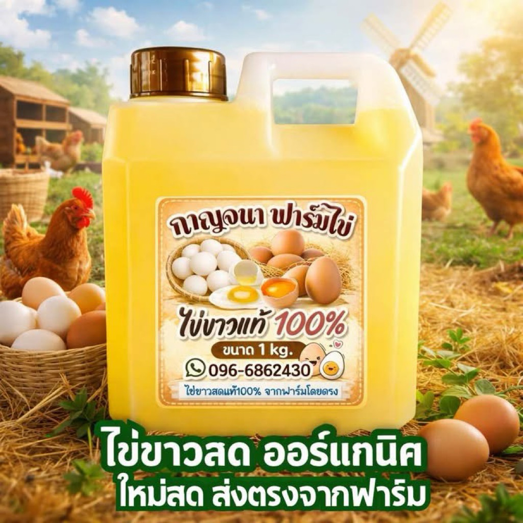 ไข่ขาวไข่ไก่ออร์แกนิค สดแท้100% ไข่ขาวที่อุดมไปด้วยโปรตีน คุณภาพสูง ใช้งานได้ง่ายทันที 💯
