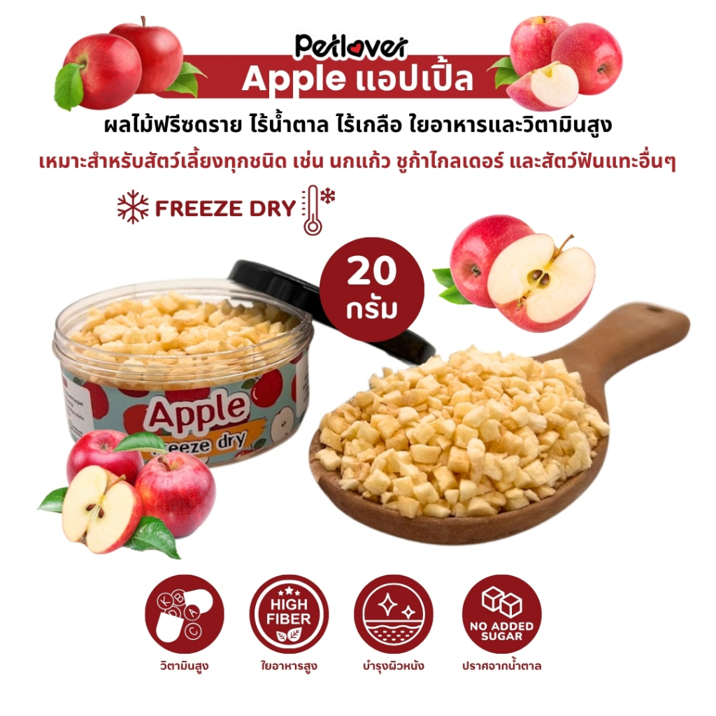 Apple แอปเปิ้ล ฟรีซดราย ไร้น้ำตาล ไร้เกลือ อาหารนกแก้ว และสัตว์ฟันแทะทุกชนิด (กระปุก 20G)