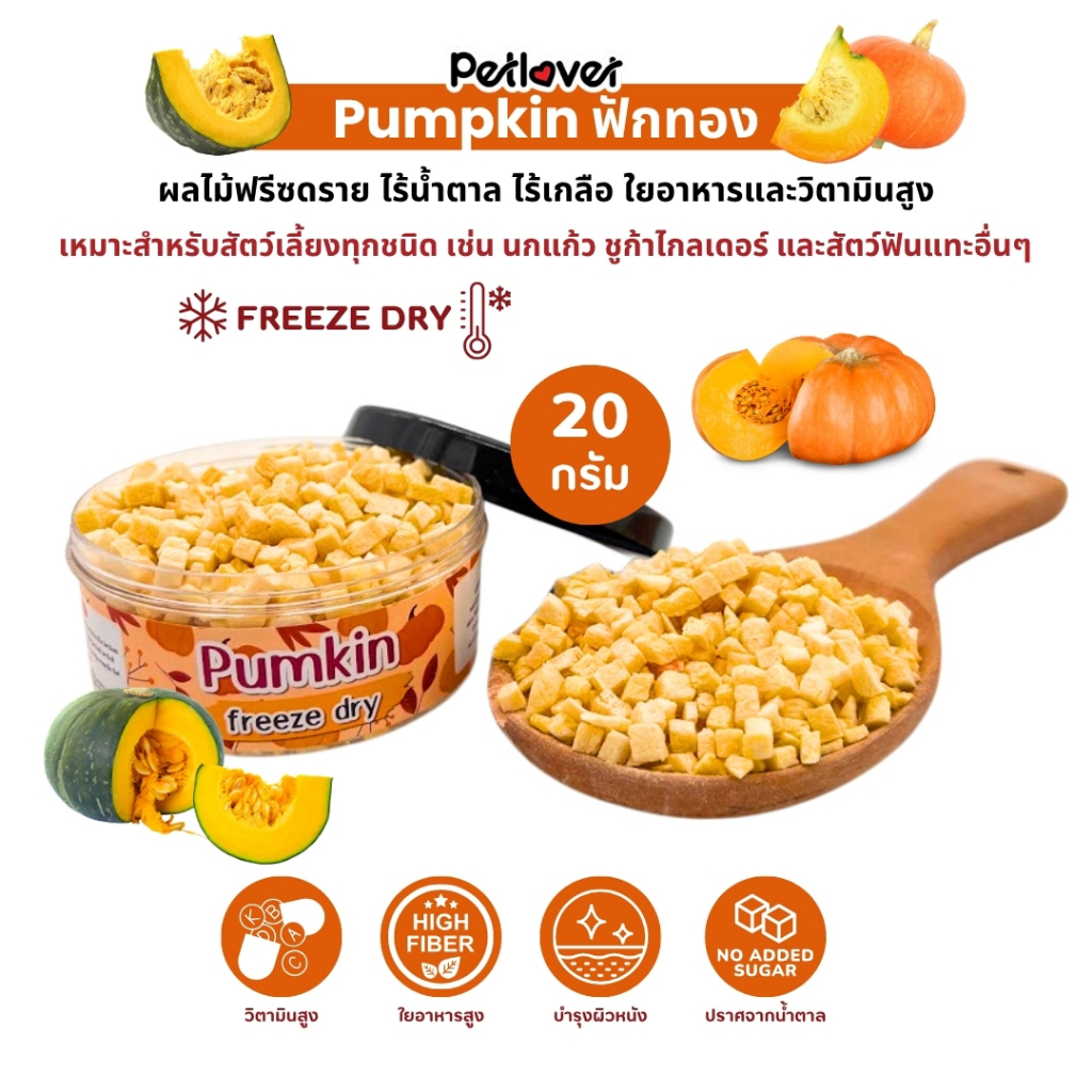 Pumpkin ฟักทอง ฟรีซดราย ไร้น้ำตาล ไร้เกลือ อาหารนกแก้ว และสัตว์ฟันแทะทุกชนิด (กระปุก 20G)