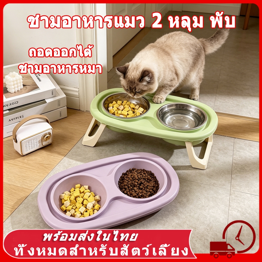 🍚 ชามอาหารแมว 2 หลุม พับ ถอดออกได้ แบบกันมด ชามอาหารหมา ชามสแตนเลส ปรับความสูงได้ ชามอาหารสัตว์เลี้ยง 2-in-1 ฐานกันลื่น