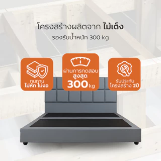 ZEN Collection เตียงนอน ฐานเตียง+หัวเตียง 6ฟุต 5ฟุต 3.5ฟุต (ไม่รวมที่นอน) Winston Bedding Frame รับประกัน 2 ปี
