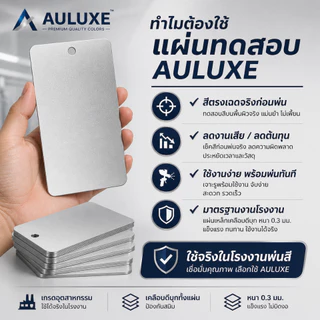 แผ่นทดสอบสี เหล็กเคลือบดีบุก ขนาด 60×100 มม. หนา 0.3 มม. เจาะรูแล้ว