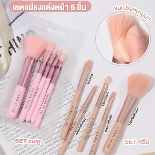 [พาเลทตา+แปรง] Make up set : HF620 + เซ็ตแปรง BR-170 | BR-10