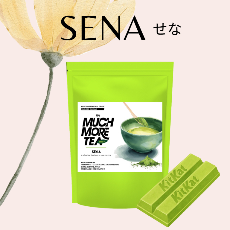 SENA l AICHI JAPAN l MUCHMORETEA l MATCHA