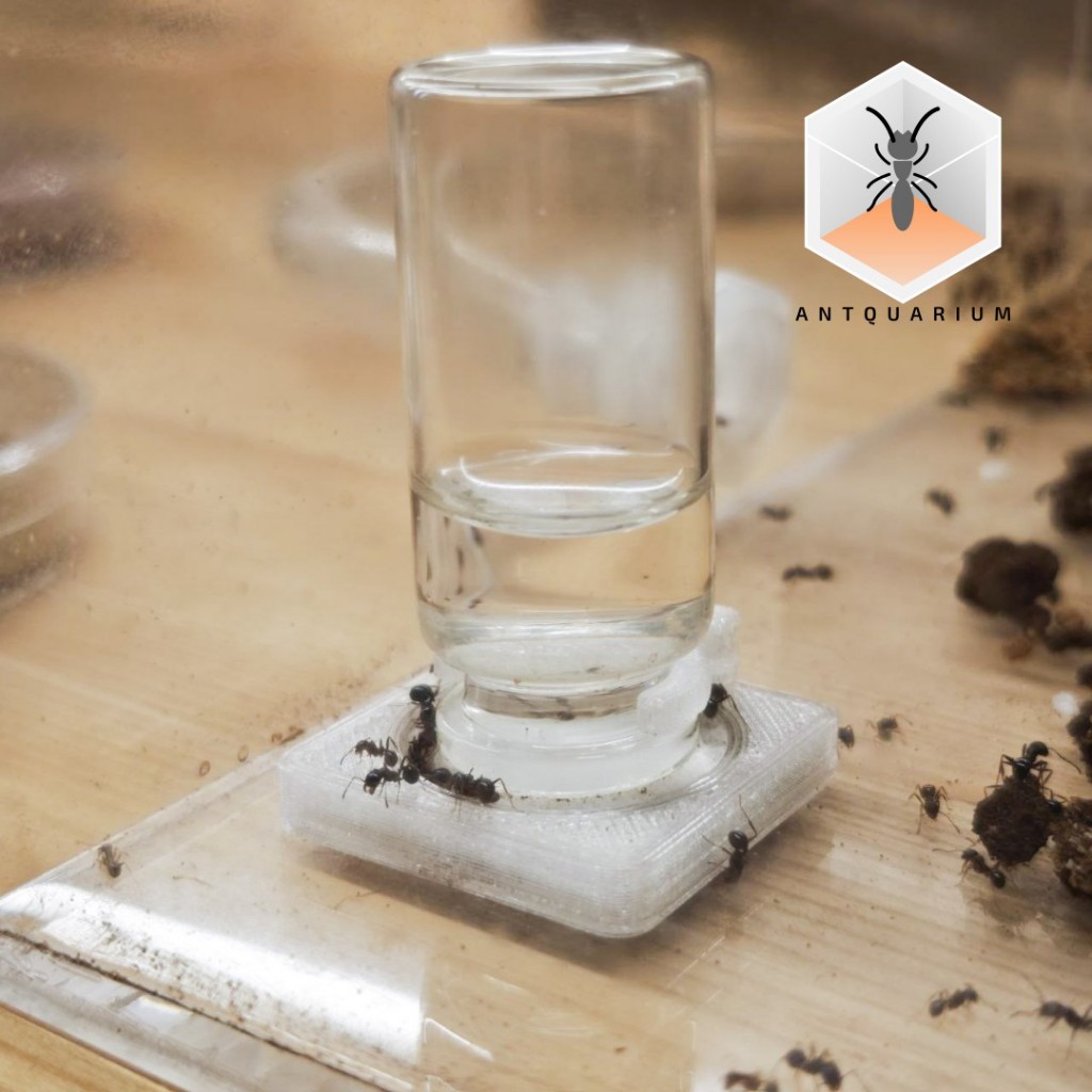 Antquarium - Ant Water Tower 5ml and 10ml/ทาวเวอร์น้ำสำหรับมด 5มล กับ 10มล