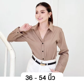 takayay brand เสื้อเชิ๊ต สีพื้นเบสิค-สีเอิร์ธโทน **เช็คขนาดจากตางรางไซซ์ของทางร้านเท่านั้น** เสื้อเชิ้ตทำงาน ผ้าคอตตอนทว