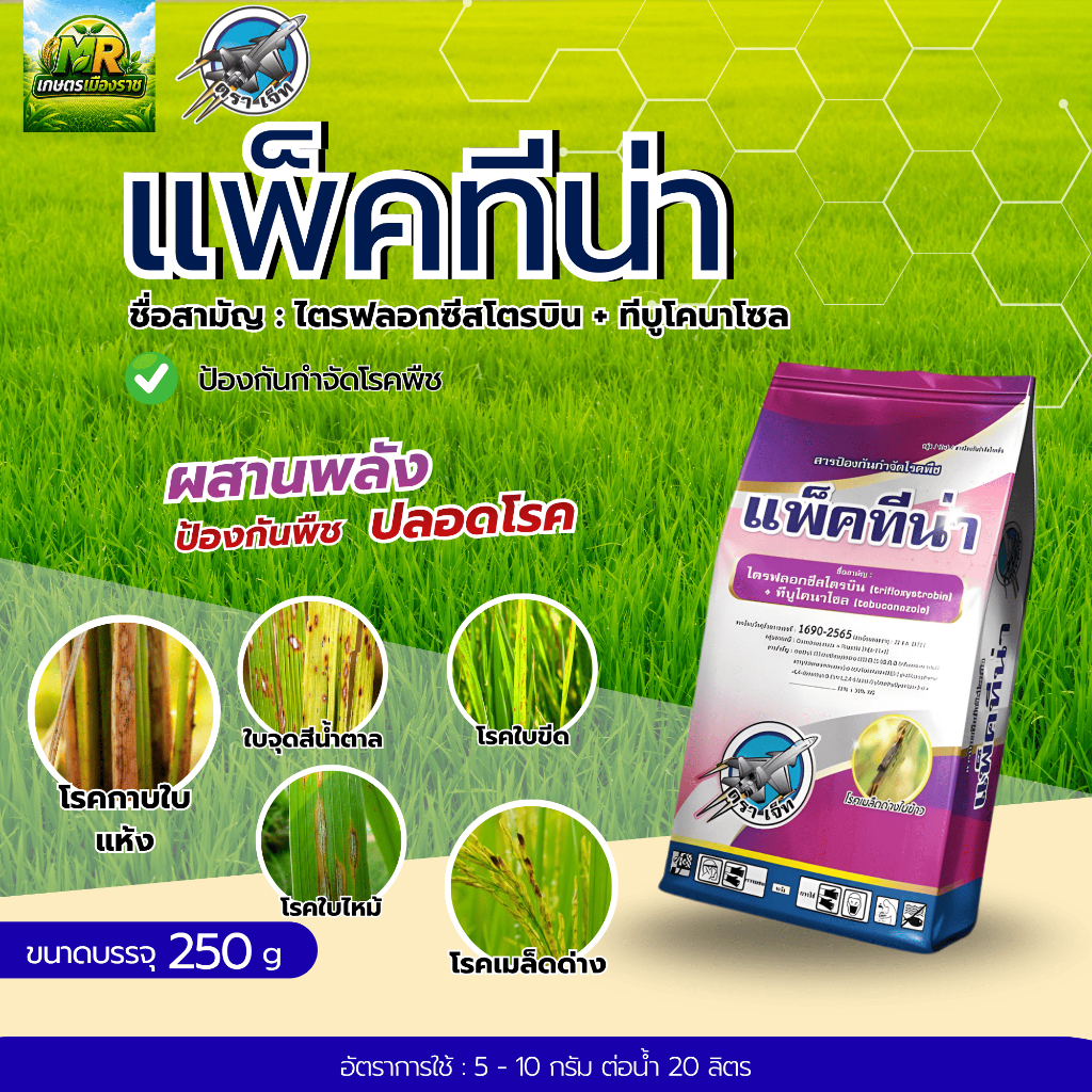 แพ็คทีน่า (ทีบูโคนาโซล + ไตรฟลอกซีสโตรบิน25 %+50 % WG) 250g #เกษตรเมืองราช
