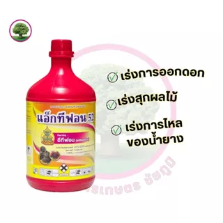 แอ็กทีฟอน52 (น้ำสีแดงใส) หยอดยอดสับปะรด เร่งการสุกของผลไม้ เช่น ทุเรียน มะม่วง กล้วย ขนาด 1ลิตร