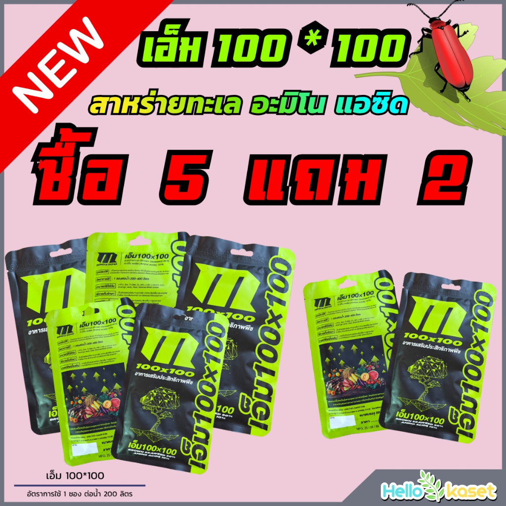 สาหร่ายอะมิโน เข้มข้น เอ็ม100*100 โปร 5 แถม 2 บำรุงพืชช่วยเจริญเติบโต แอซิด ราก แขนง ดอก ขนาด50กรัม