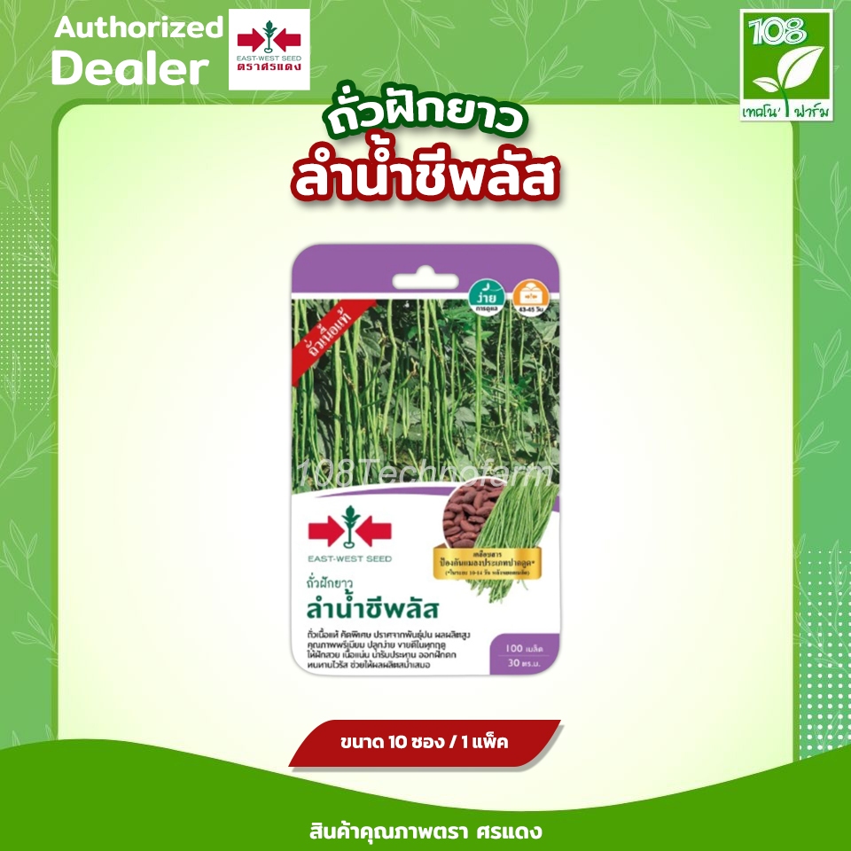 ผักซองศรแดง เมล็ดพันธ์ุถั่วฝักยาว ลำน้ำชีพลัส ขนาด 100 เมล็ด