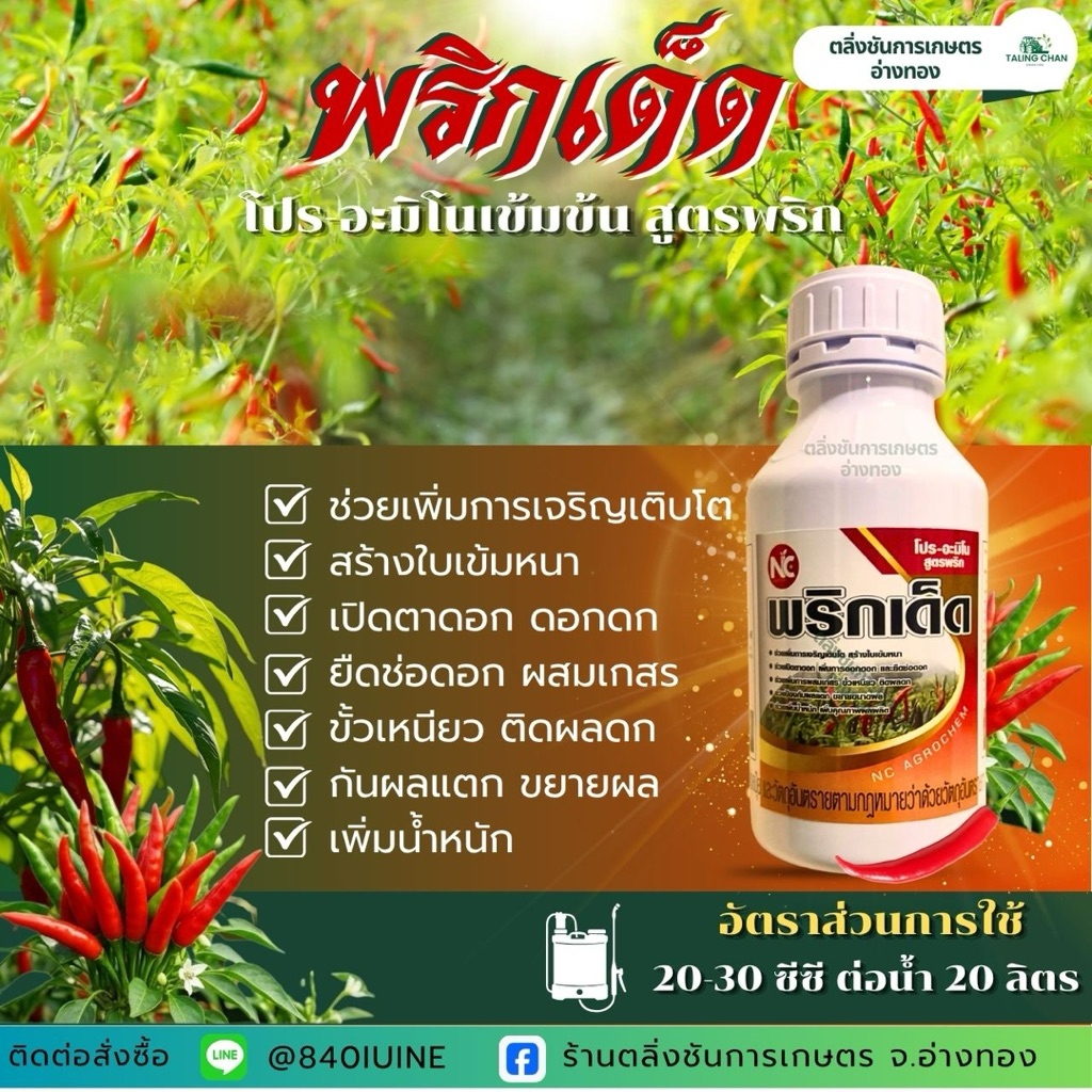 พริกเด็ด ฮอร์โมนพริกสูตรพิเศษ พริกดก ใบเขียวหนา เปิดตาดอก ยืดช่อ เพิ่มการผสมเกสร