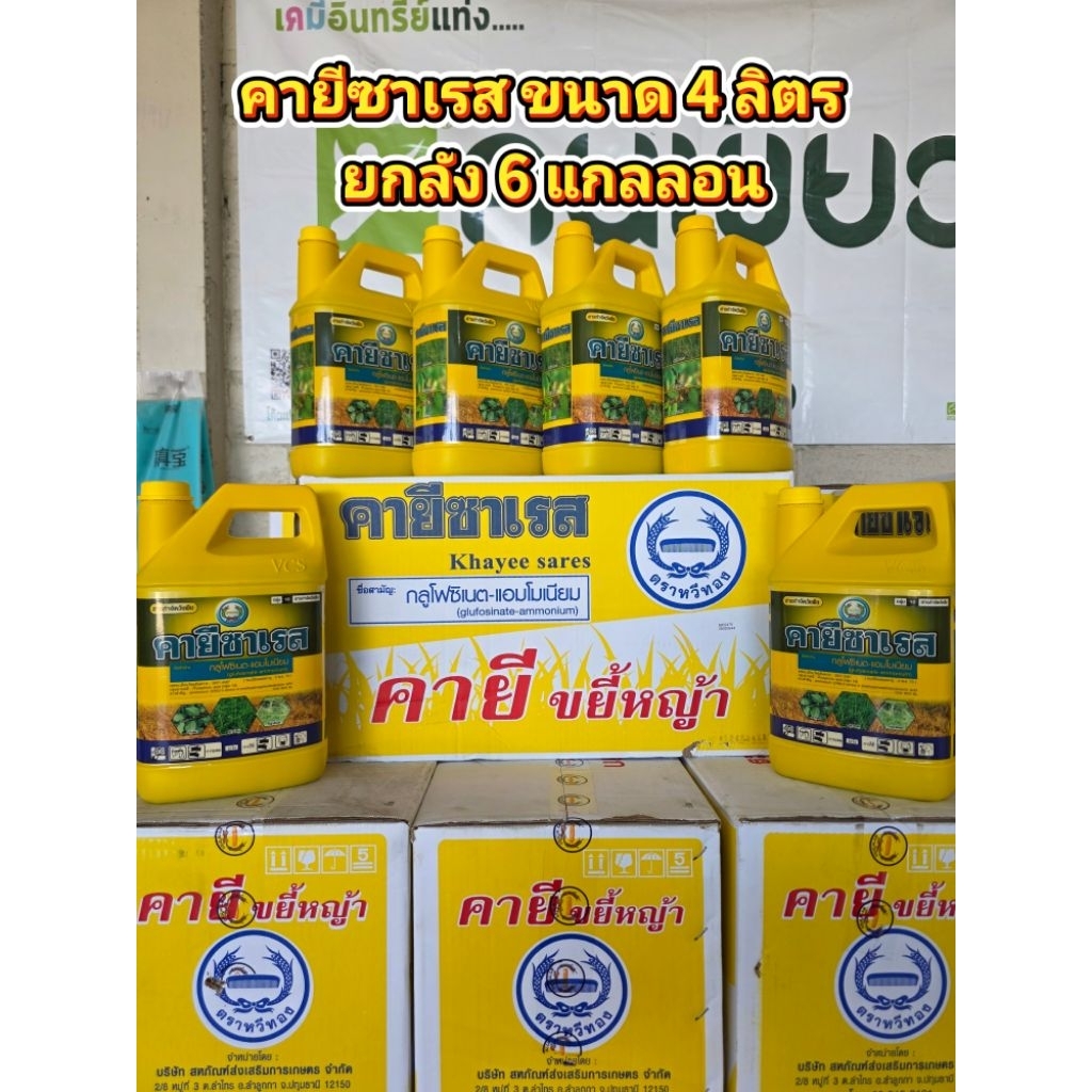 คายีซาเรส ยกลัง ขนาด 4 ลิตร 6 แกลลอน กลูโฟซิเนต ตราหวีทอง