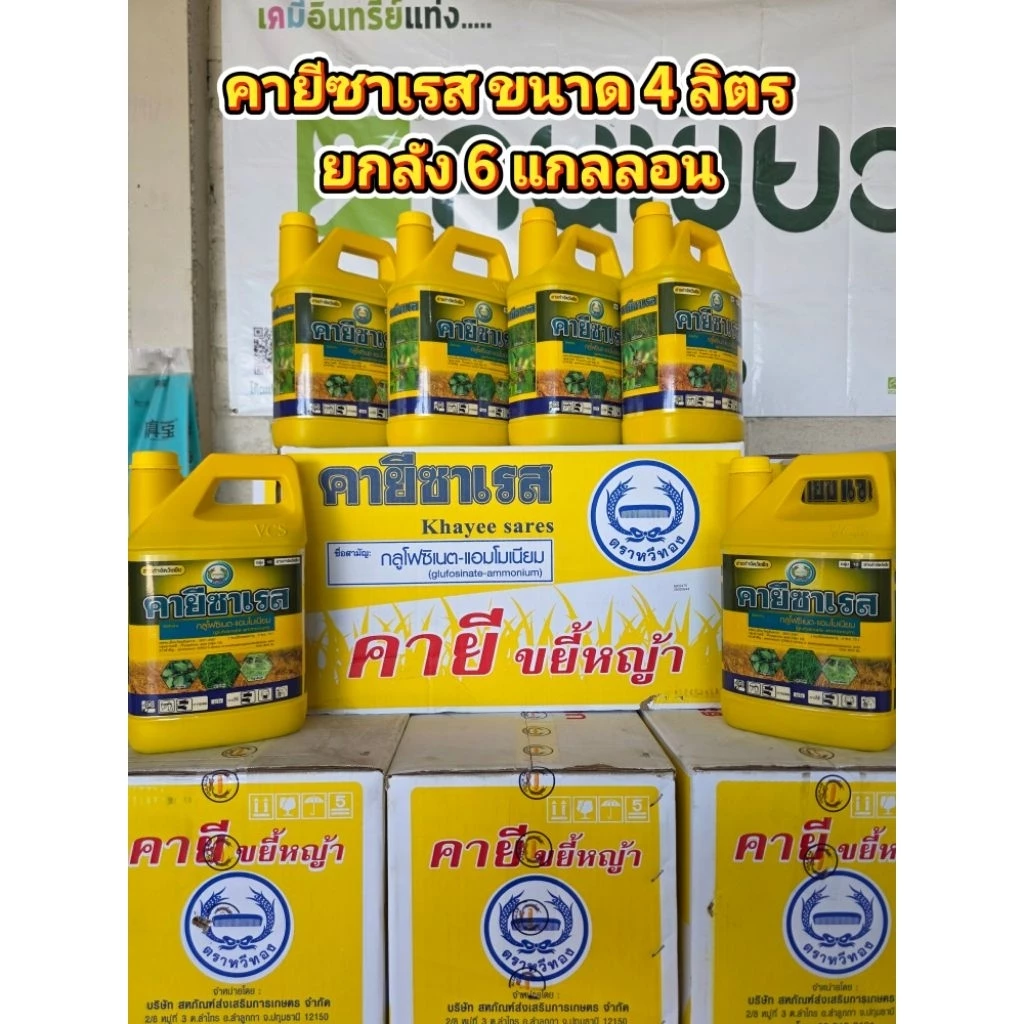 คายีซาเรส ยกลัง ขนาด 4 ลิตร 6 แกลลอน กลูโฟซิเนต ตราหวีทอง