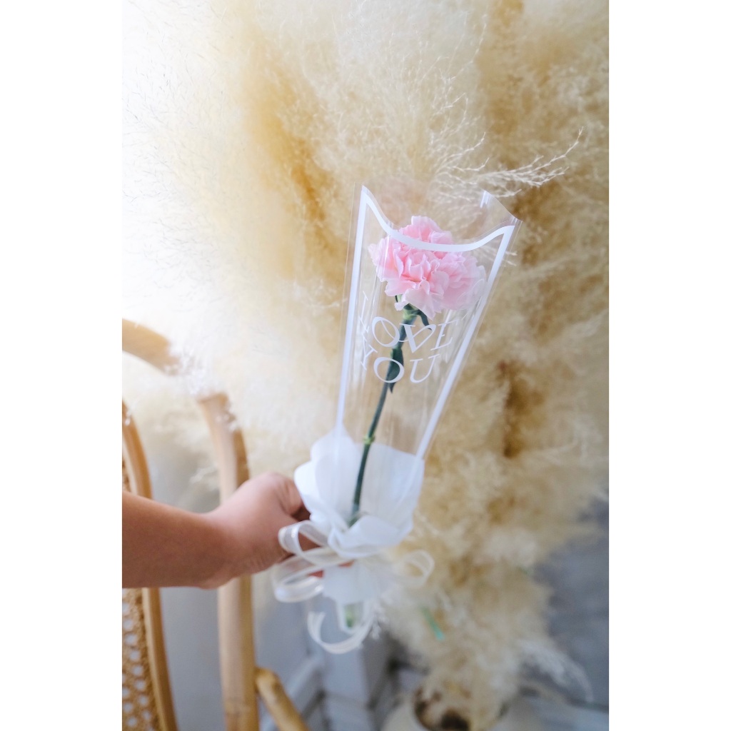 ‼️ส่งด่วน‼️ช่อดอกไม้สด Carnation ช่อคาร์เนชั่น 1 ดอกไม้แสดงความรักสำหรับคนพิเศษ