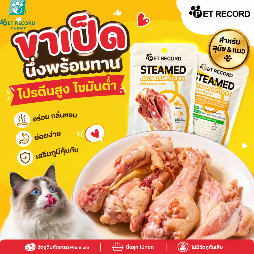 【Pet Record】 น่องเป็ด 40g ขนมสัตว์เลี้ยง ขนมแมว ขนมหมา อาหารเปียกพร้อมทาน โภชนาการสมดุล