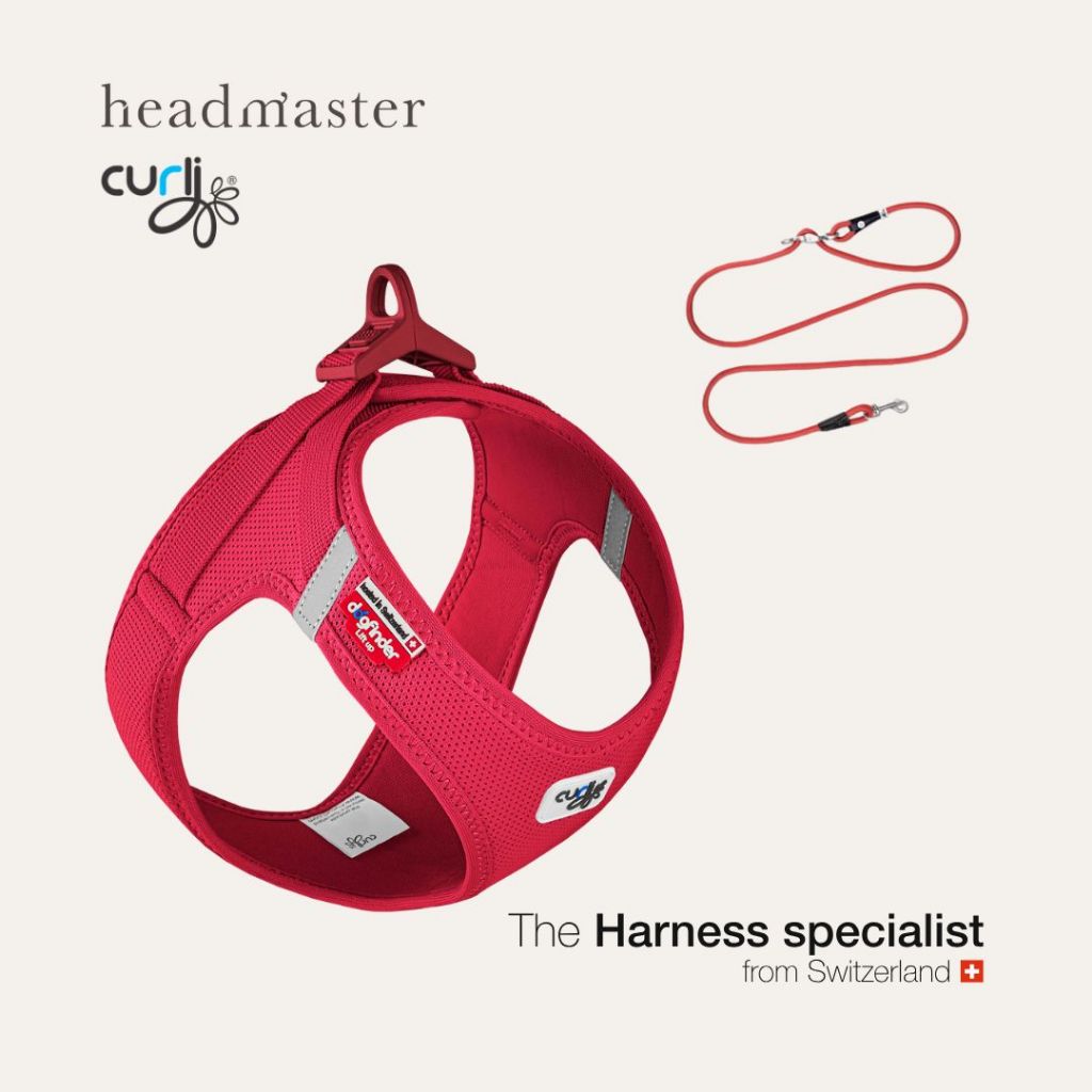 Set curli Clasp Air Mesh Vest Harness และสายจูง Vario ปรับความยาวได้ สายรัดอก สำหรับสุนัขและแมว