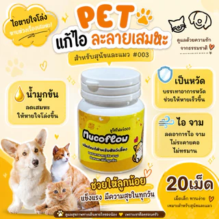 Mucoflow เสริมอาหารสุนัข แมว ไอ หวัด จาม น้ำมูกข้น (สีเหลือง)