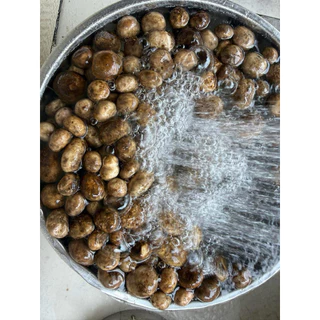 🍄🍄เห็ดถอบสดๆมาในรูปแบบกระป๋องเปิดฝาพร้อมรับประทาน สงสรรค์เมนูต่างๆได้เลย