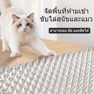 HOHO🙀แผ่นแทงแมว หนามแมว สามารถตัดได้ PVCใส 34X42cm ที่กันแมว หนามกันแมว ไล่นกพิราบ กันแมวข่วนได้ 100%