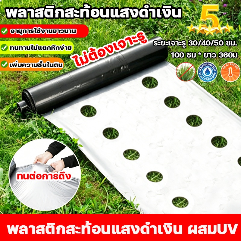 🌱พลาสติกคลุมดิน 1ม.x400หลา(360ม) ผ้ายางคลุมดิน เจาะรูเดี่ยว 1แถว ผ้ายางคลุมวัชพืช ผ้ายางคลุมแปลงผัก