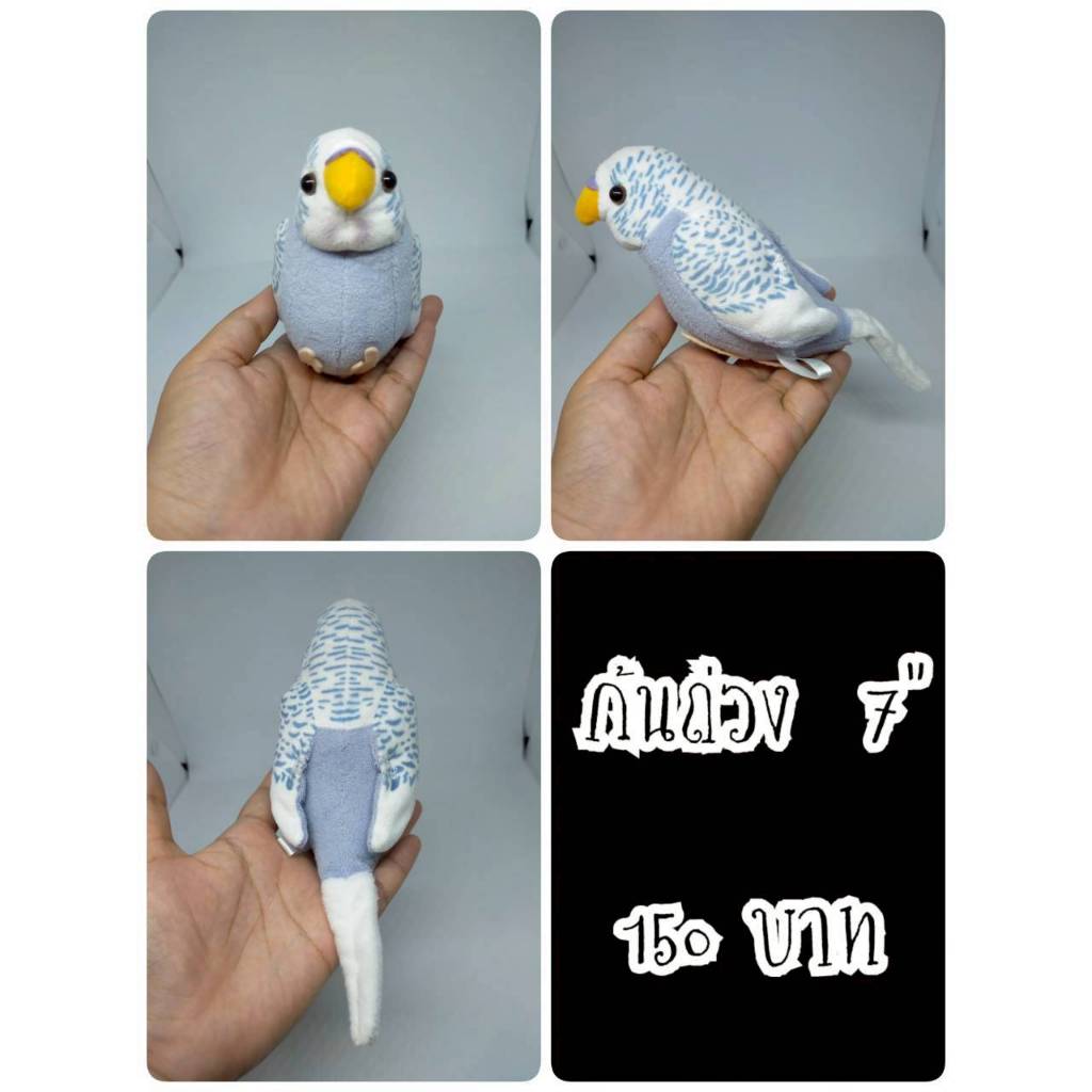 Sekisei Inko#Budgerigar#นกหงส์หยก#Bird#นก#ก้นถ่วง#ตุ๊กตาญี่ปุ่นมือสอง