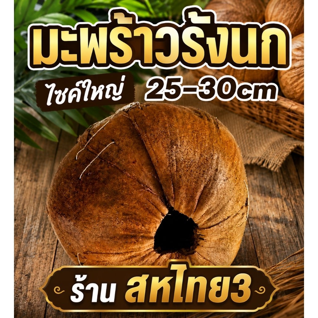มะพร้าวรังนก (ลูกไหญ่25-30cm) มะพร้าวนกหงษ์หยก  มะพร้าวนกเลิฟเบริด์ กระรอก