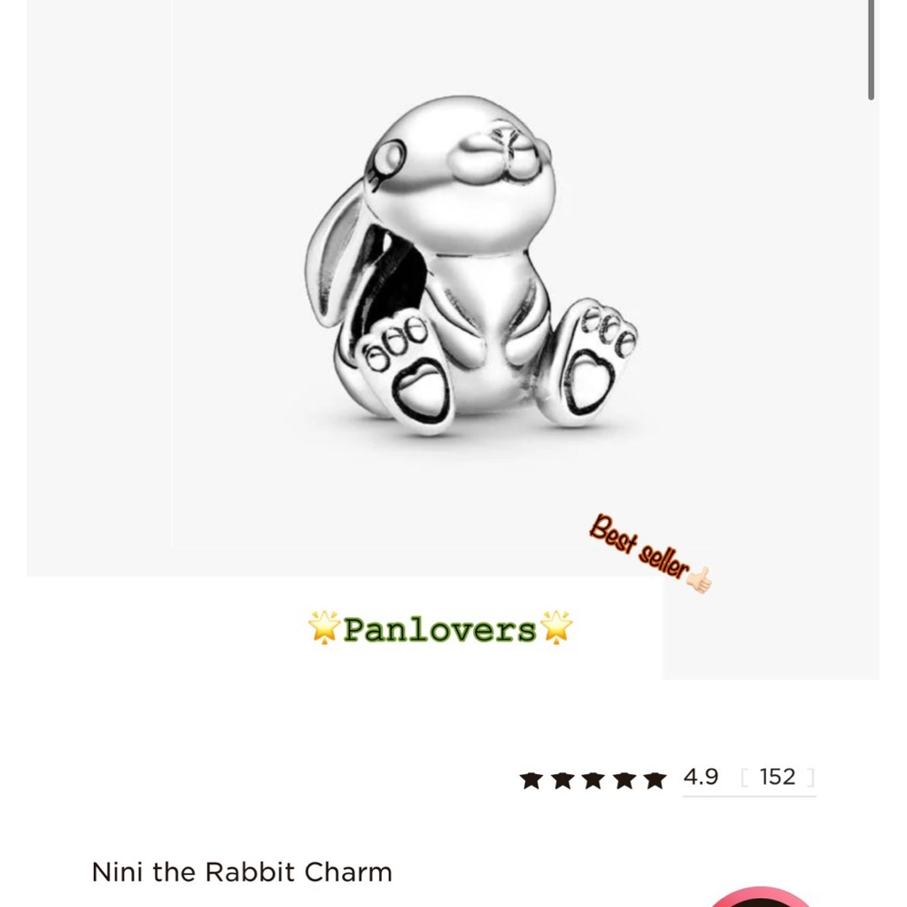 ❕ชาร์มกระต่าย Nini rabbit charm🐰✨🎀
