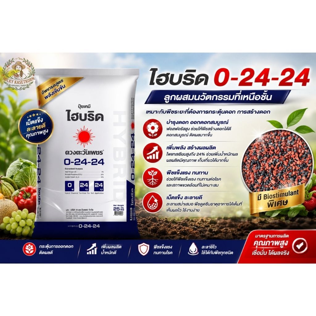 (ยกกระสอบ25กก.)ปุ๋ยไฮบริด 0-24-24 ดวงตะวันเพชร ปุ๋ยกดใบสั่งดอก เปิดตาดอกทุเรียน ลดการแตกใบอ่อน สร้าง