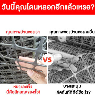 ตาข่ายพลาสติก สำหรับรั้วสวน กันนก กันสัตว์ เลี้ยงไก่ วัสดุPE คุณภาพดี ทนแดด ทนฝน ใช้งานได้หลากหลาย ขนาด 50 เมตร