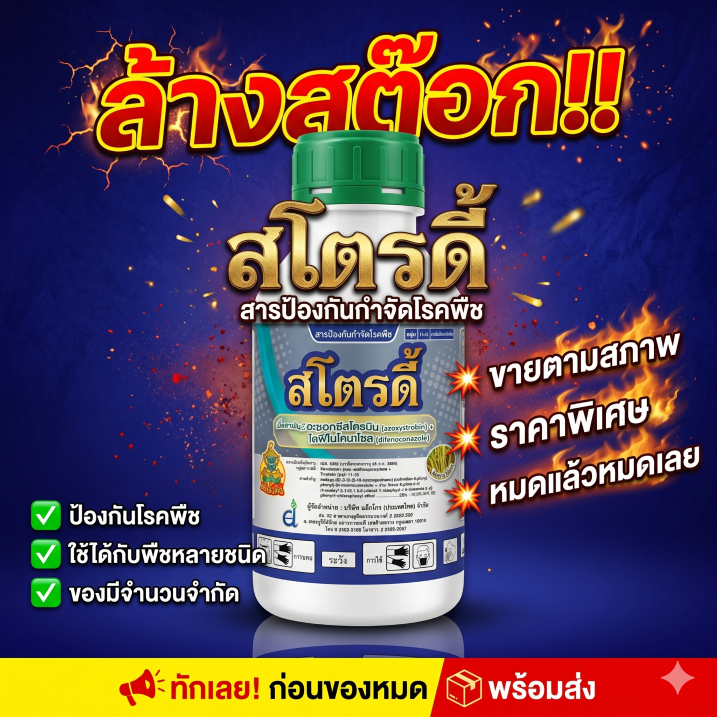 ลดล้างสต๊อกอ่านก่อนซื้อ!! สโตรดี้ (500 ซีซี) เป็นสารดูดซึมและแทรกซึม ใช้ป้องกัน โรครากเน่าโคนเน่า โรคราสีชมพู
