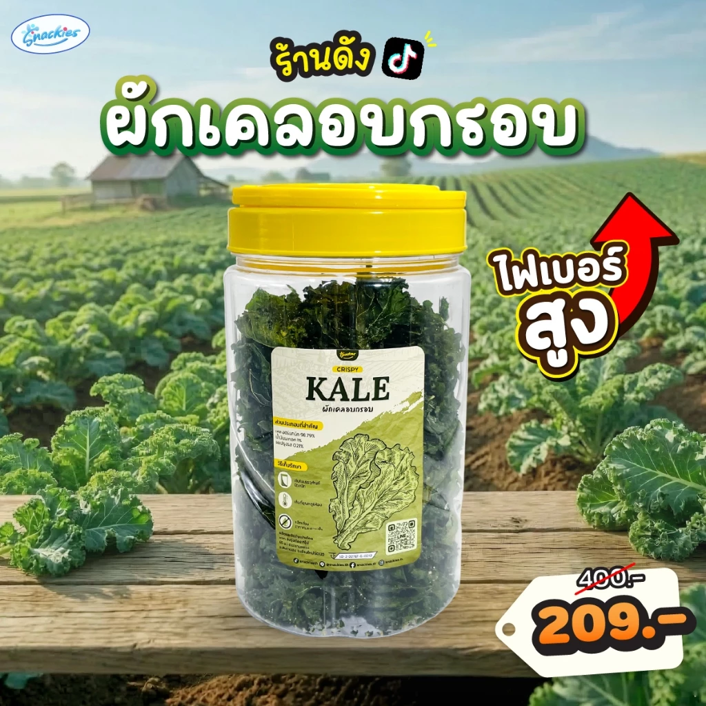[เคลถัง] ผักเคลอบกรอบ 1 ถัง ออร์แกนิก ไขมันต่ำ ไม่ทอด กรอบ กินเพลิน ไม่รู้สึกผิด ขนม ของกิน snackies