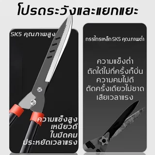 🔥กรรไกรตัดหญ้า กรรไกรตัดแต่งพุ่มไม้ กรรไกรตัดกิ่ง ตัดกิ่งไม้ ตกแต่งสวน