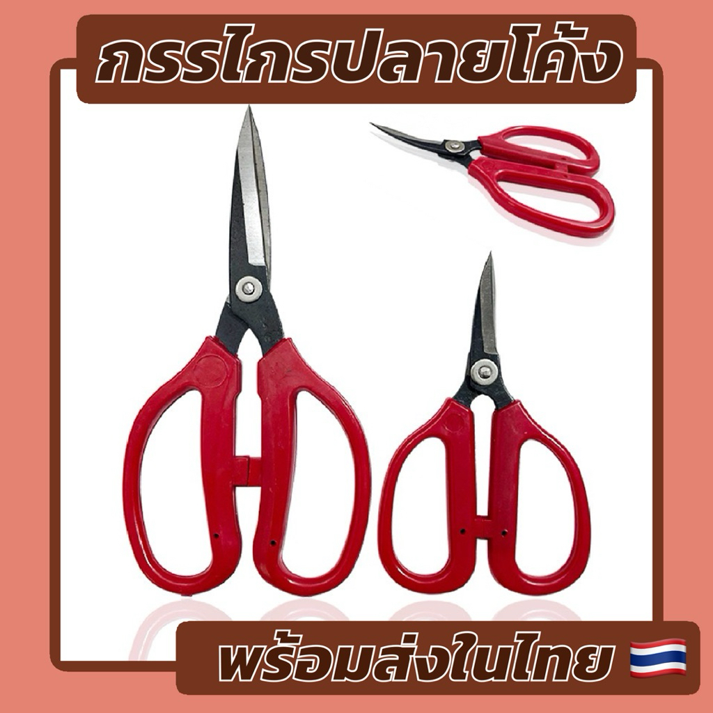 กรรไกรปลายโค้ง พร้อมส่งในไทย 🇹🇭