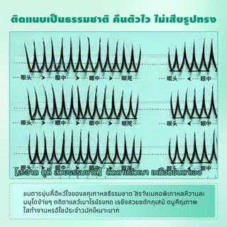 Dreehalo ซีรีส์ไอดอลลุคทุกวันขนตาสไตล์ไอดอล ลุคเด่นแบบไอดอล ตาคม มีพลัง F292