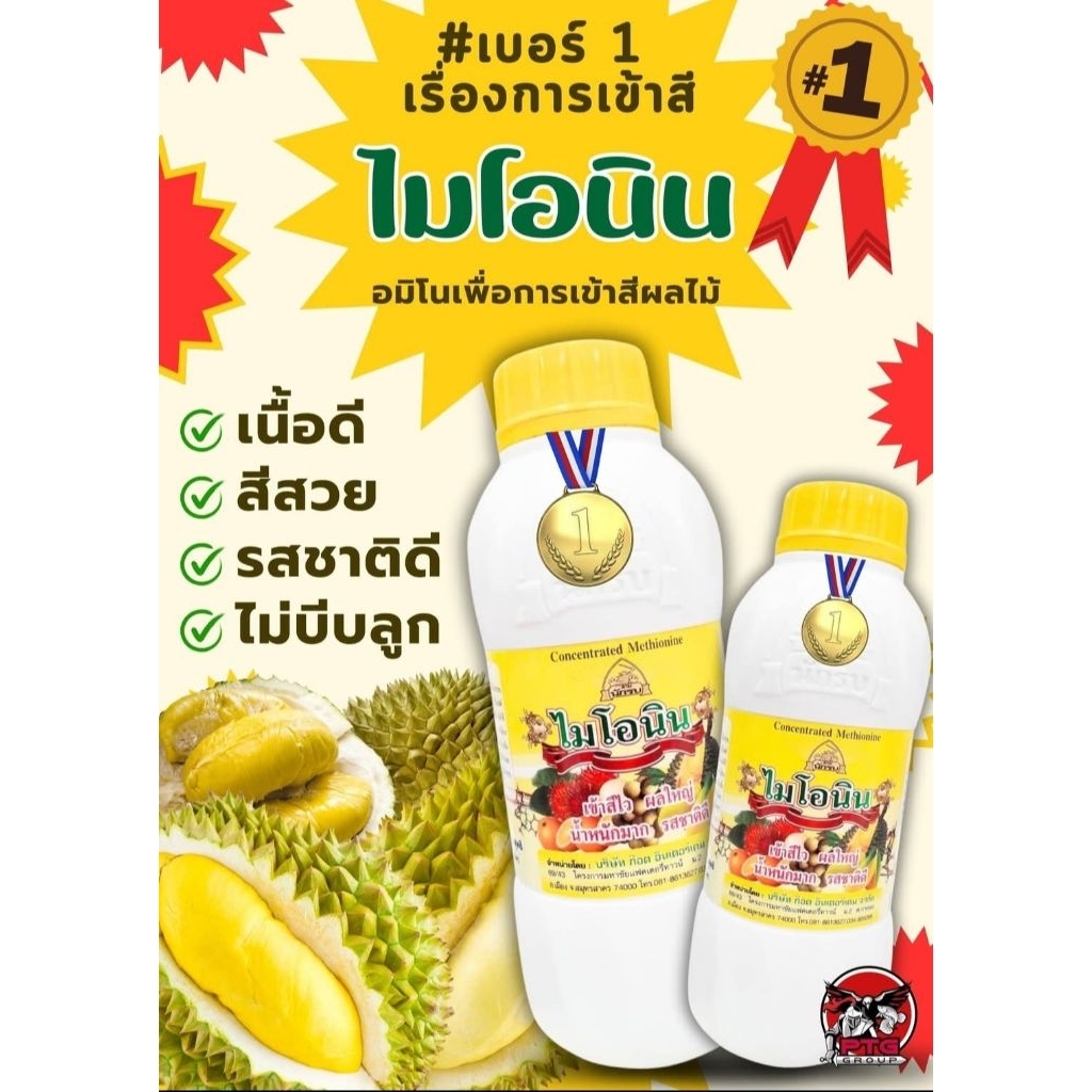 ไมโอนิน : เข้าสีไว ผลใหญ่ น้ำหนักมาก รสชาติดี ไม่บีบลูก ขนาด500cc
