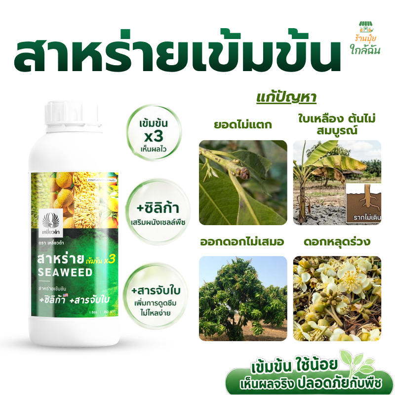 [ฮอร์โมน-สาหร่ายน้ำ] 1L ตราเหยี่ยวดำ เสริมสร้างการสร้างใบถึงการติดดอก ซิลิก้า สารจับใบ อาหารเสริมพืช สาหร่ายx3