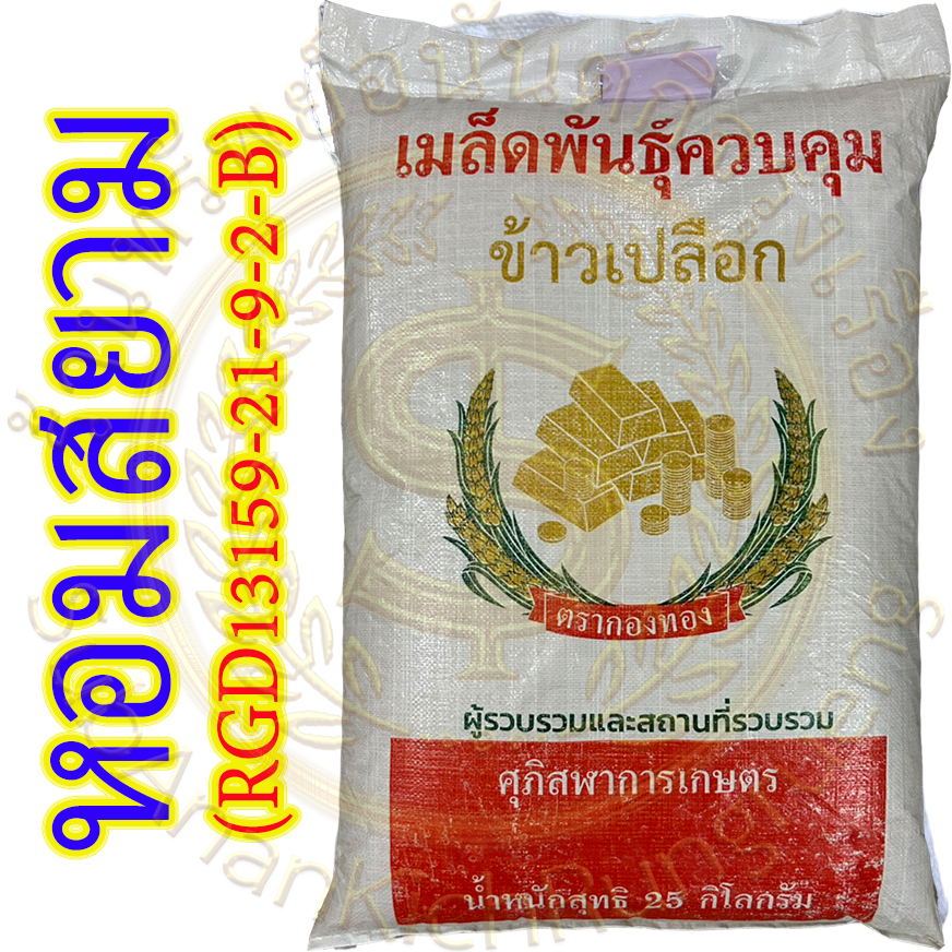 เมล็ดพันธุ์ข้าว หอมสยาม (ต้นเตี้ย) บรรจุ 25 กิโลกรัม ข้าวเจ้าหอม นาปี สายพันธุ์ใหม่