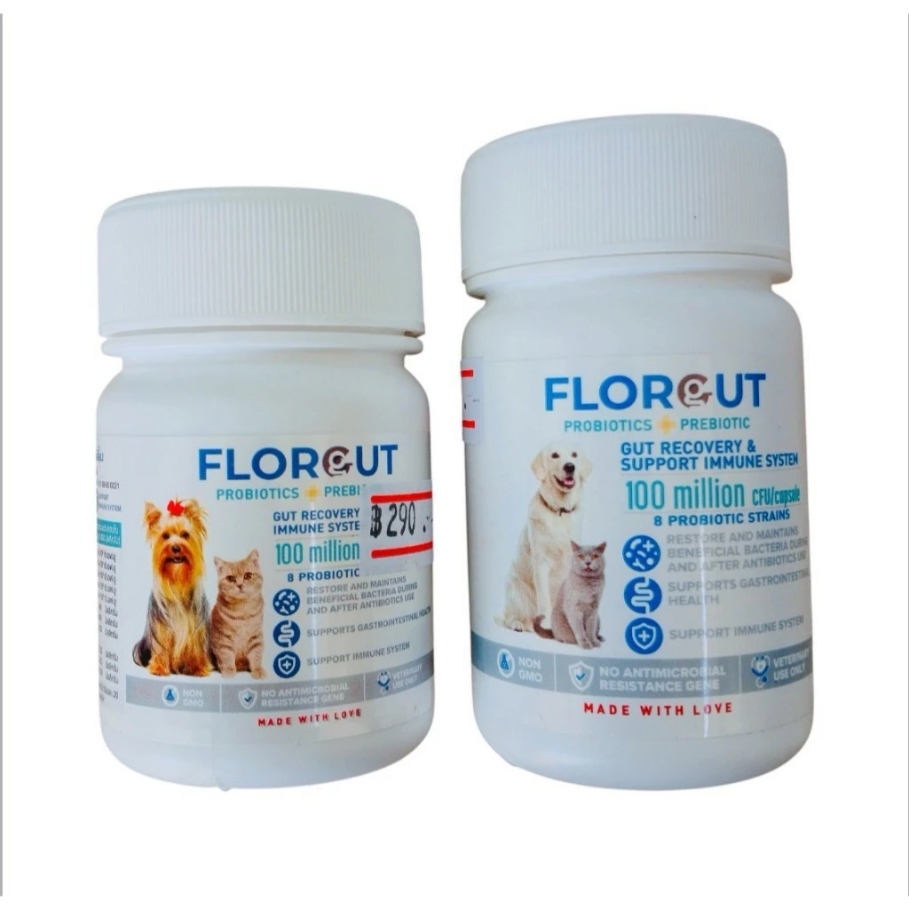 Florgut อาหารเสริมพรีไบโอติกและโพรไบโอติก ปรับสมดุลลำไส้ สำหรับสุนัขและแมว