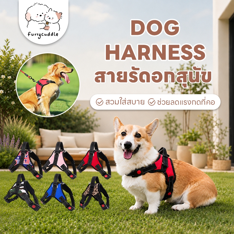 FurryCuddle พร้อมส่ง สายจูงรัดอกสัตว์เลี้ยง สายจูงสุนัข แมว พันธุ์กลาง-ใหญ่ หลายไซส์ สายจูงหมา (แยกขาย) COD ST064