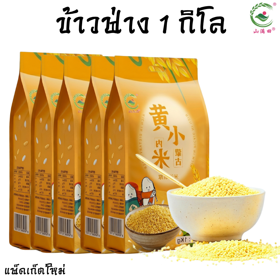 ข้าวฟ่าง1000g ข้าวฟ่างเกรดAคุณค่าทางโภชนาการสูง ประกอบอาหารได้หลากหลาย ข้าวฟ่าง ข้าวฟ่างเปียก